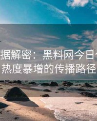 1426. 数据解密：黑料网今日代言翻车热度暴增的传播路径