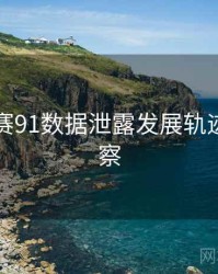 每日大赛91数据泄露发展轨迹趋势洞察
