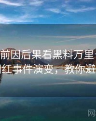 1329. 从前因后果看黑料万里长征首页网红事件演变，教你避坑