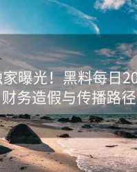 1489. 独家曝光！黑料每日2017年4月财务造假与传播路径