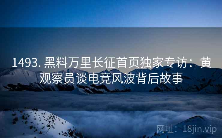 1493. 黑料万里长征首页独家专访：黄观察员谈电竞风波背后故事