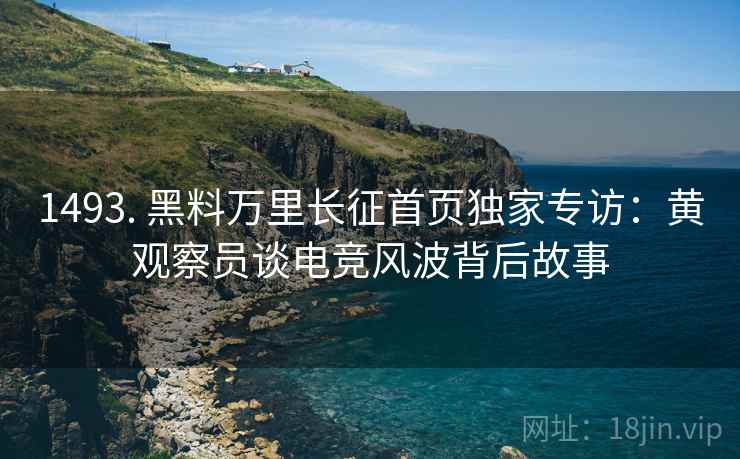1493. 黑料万里长征首页独家专访：黄观察员谈电竞风波背后故事