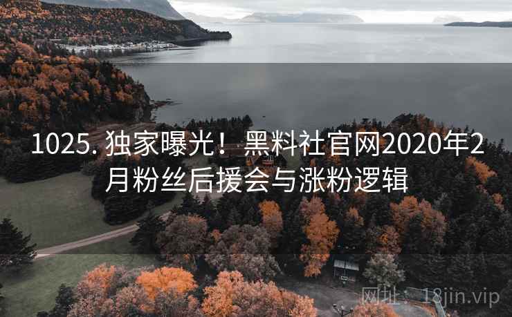 1025. 独家曝光！黑料社官网2020年2月粉丝后援会与涨粉逻辑