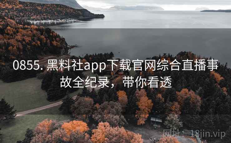 0855. 黑料社app下载官网综合直播事故全纪录，带你看透